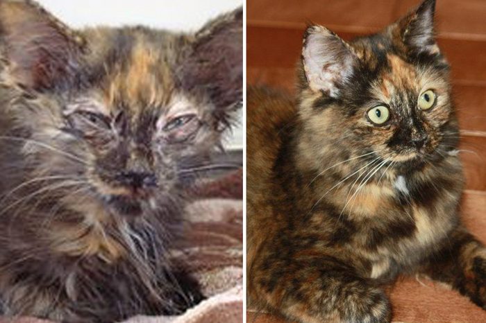 Johanne Before and After