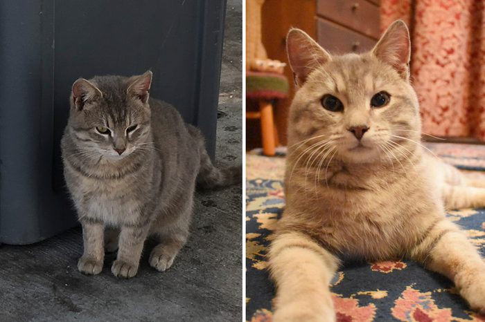 Kenny Before and After