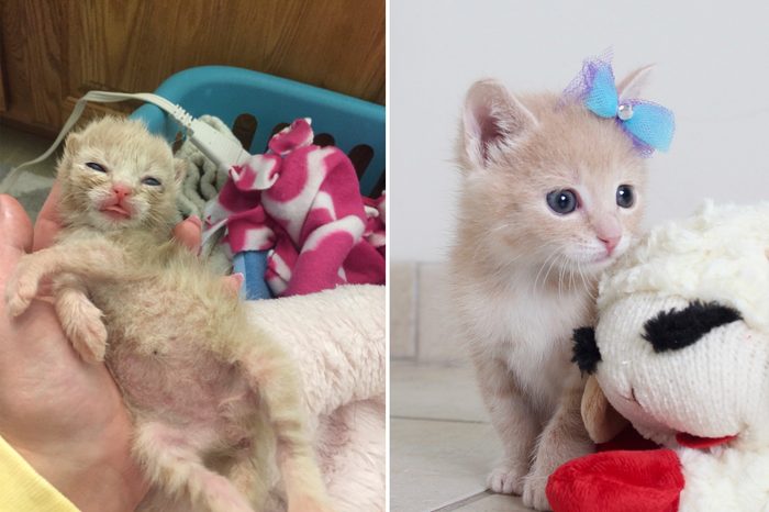 Kizzie Before and After