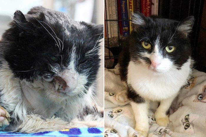 Magoo Before and After