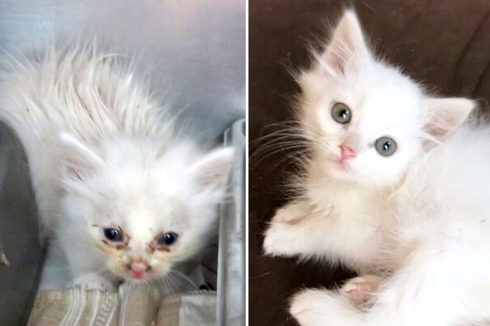 McGregor Before and After