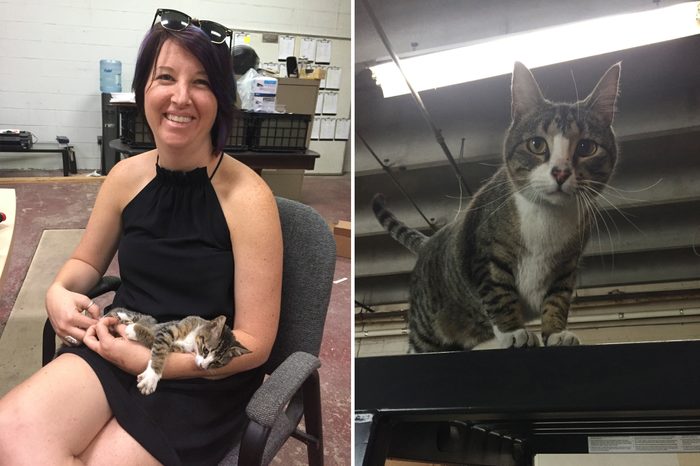 Meow Ze Dong Before and After