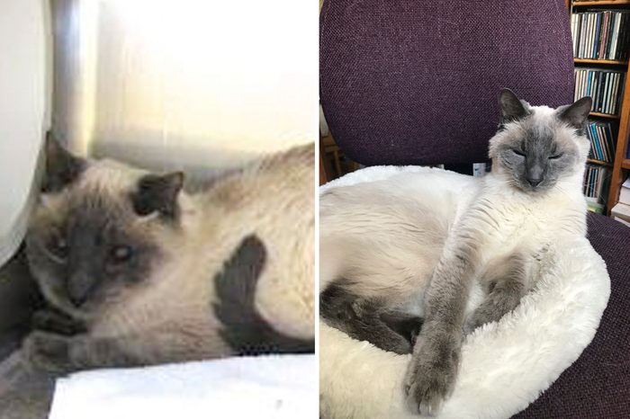 Milo Before and After