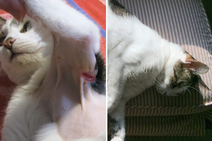 Mollie Before and After