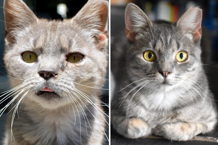 Wheels Before and After