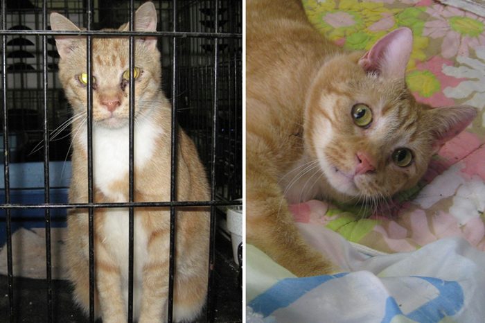 Nudge Before and After