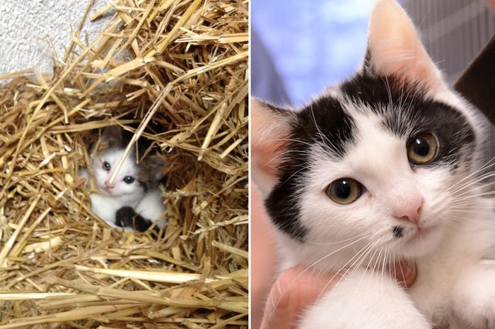 Georgia Before and After