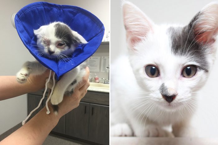 Sam/Secondhand Hounds