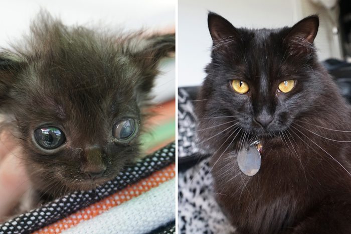 Refugee Before and After