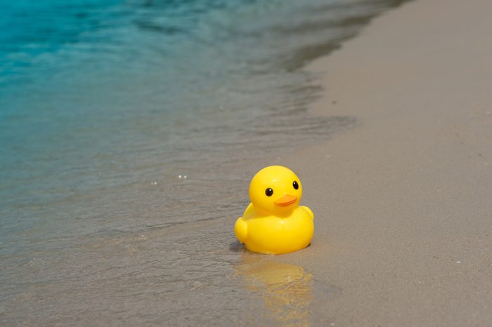 rubber duck_ocean facts