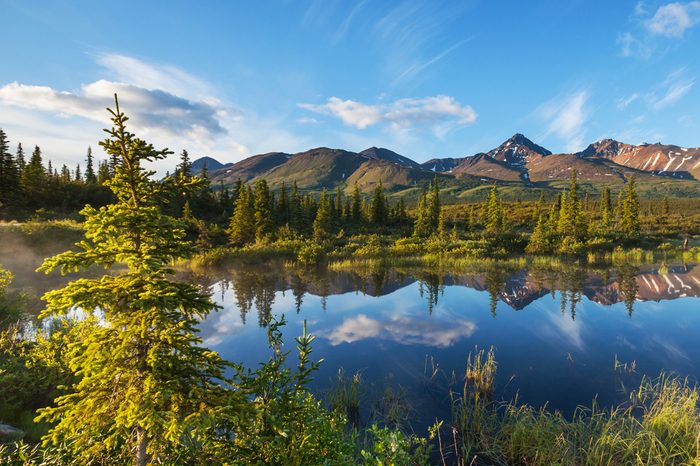 Serenity lake in tundra on Alaska