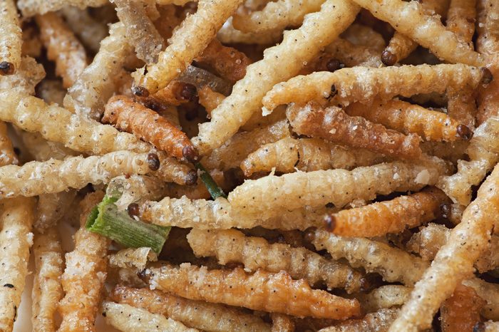 Bamboo worms