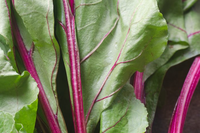closeup to fresh beet leaves