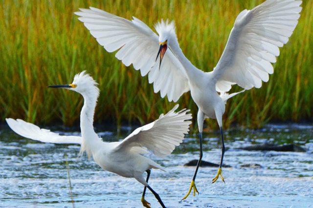 no r-egrets