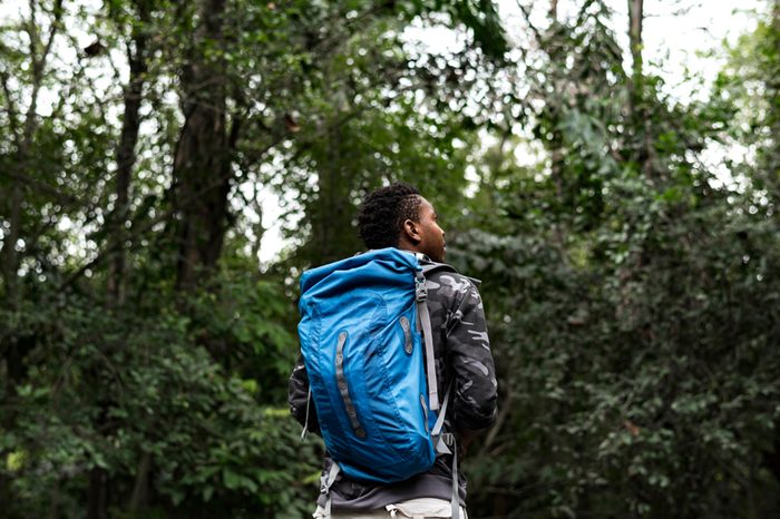 Trekking in a forest