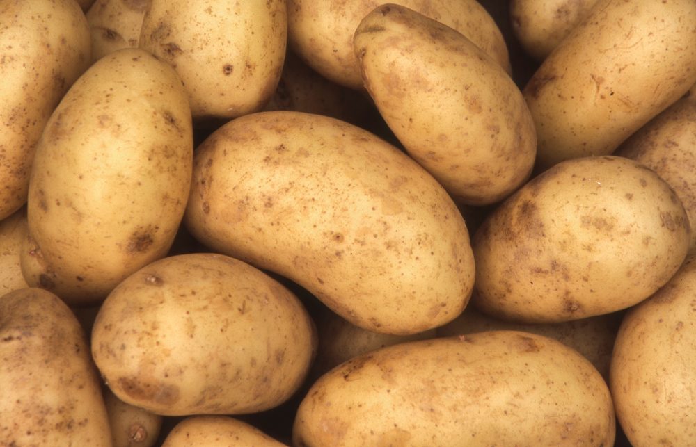 close up view of many potatoes