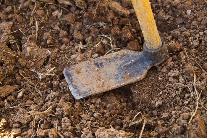 hoe in the garden