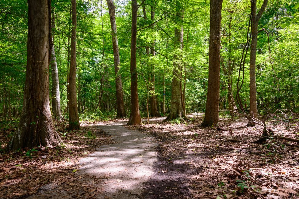 hidden gem in Louisiana hiking at Los Adaes State Historic Site