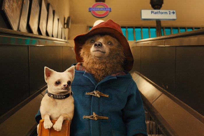 'Paddington' Film - 2014