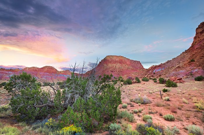 Late afternoon sun washing over the Red Rocks area in Northern New Mexico