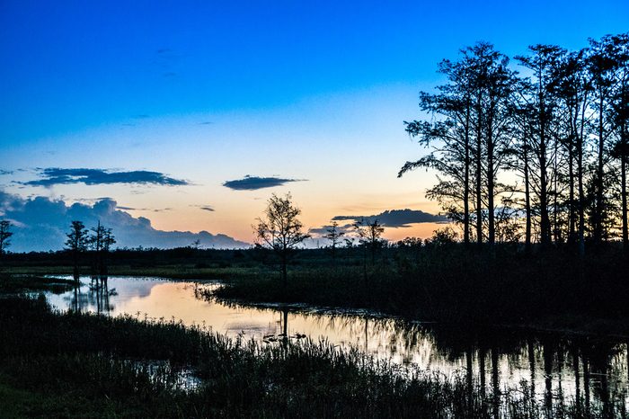 brilliant sunset reflecting in a lake through cypress trees in Louisiana