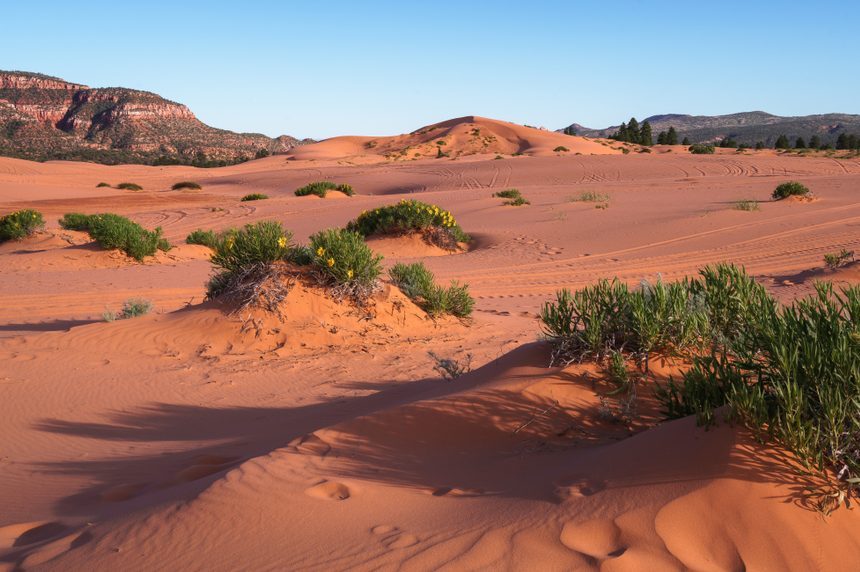 Coral Pink Sand Dunes State Park, a hidden gem in Utah