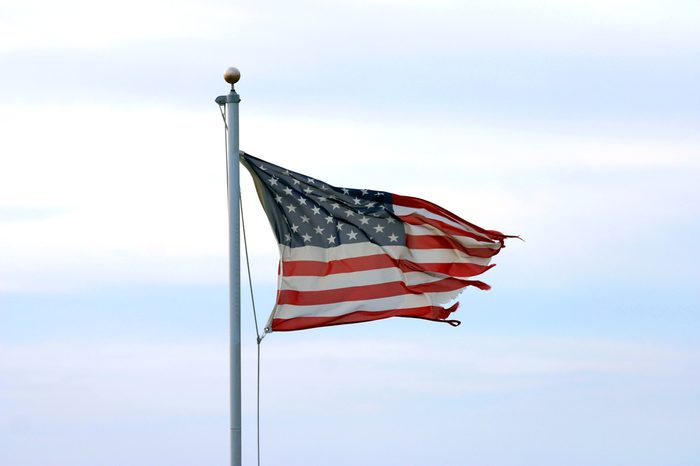 A much tattered but unbowed American Flag