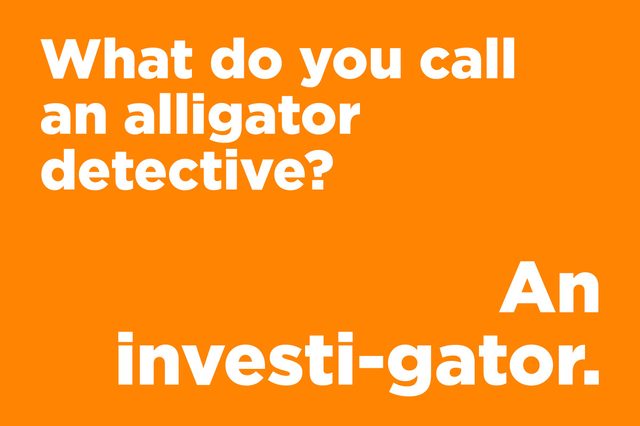 alligator detective