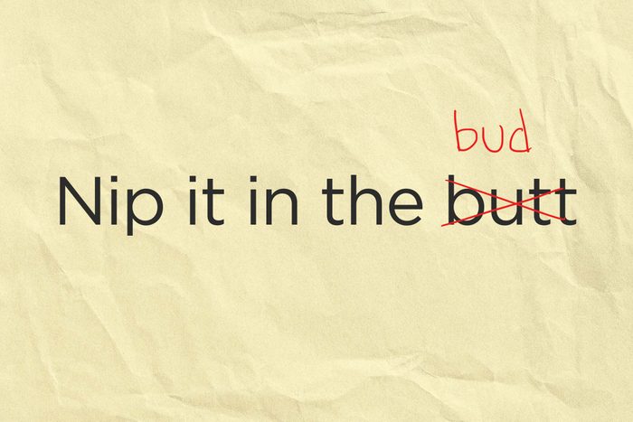 bud