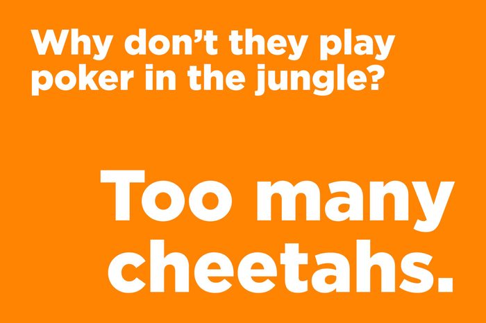 poker jungle