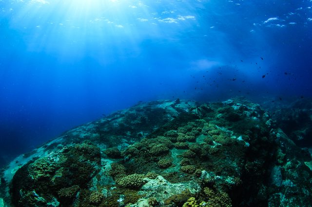 losin island , Underwater Volcano