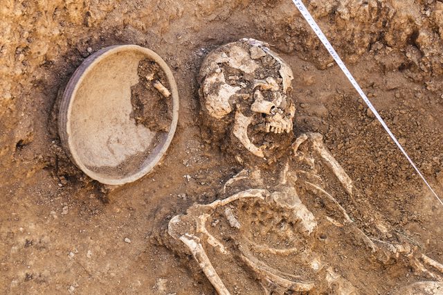 Archaeological excavations. research on human burial, skeleton, skull, inventory.  Scale burial measurement