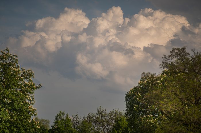 storm is coming