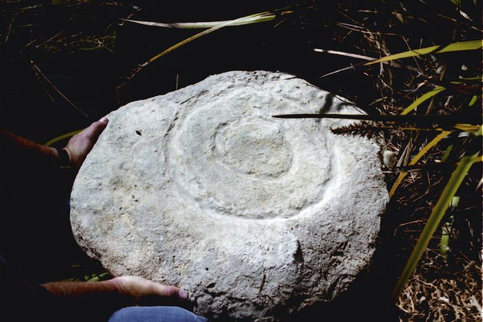 Unusual sandsstone carving recently washed up on the beach at Mt Cameron, West on Tasmania's Northern West Coast. Tasmanian rock art is considered to be amongst the oldest in the world. Country of Origin: Australia. Culture: Aboriginal. Place of Origin: Mt Cameron West, Tasmania