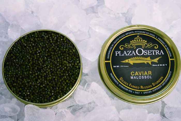 Plaza Osetra Golden Farmed Sturgeon Caviar