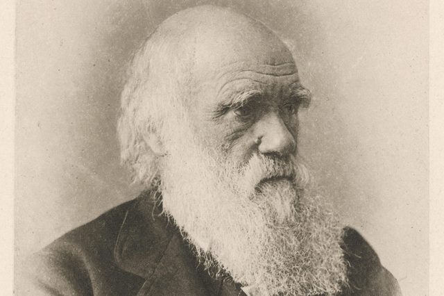 An elderly man with a long beard gazes forward in a sepia-toned portrait, wearing a dark suit, against a plain background.