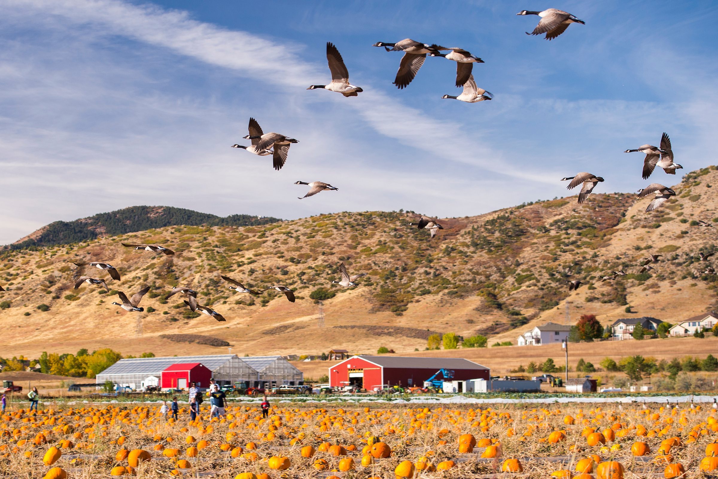 Denver Botanic Gardens