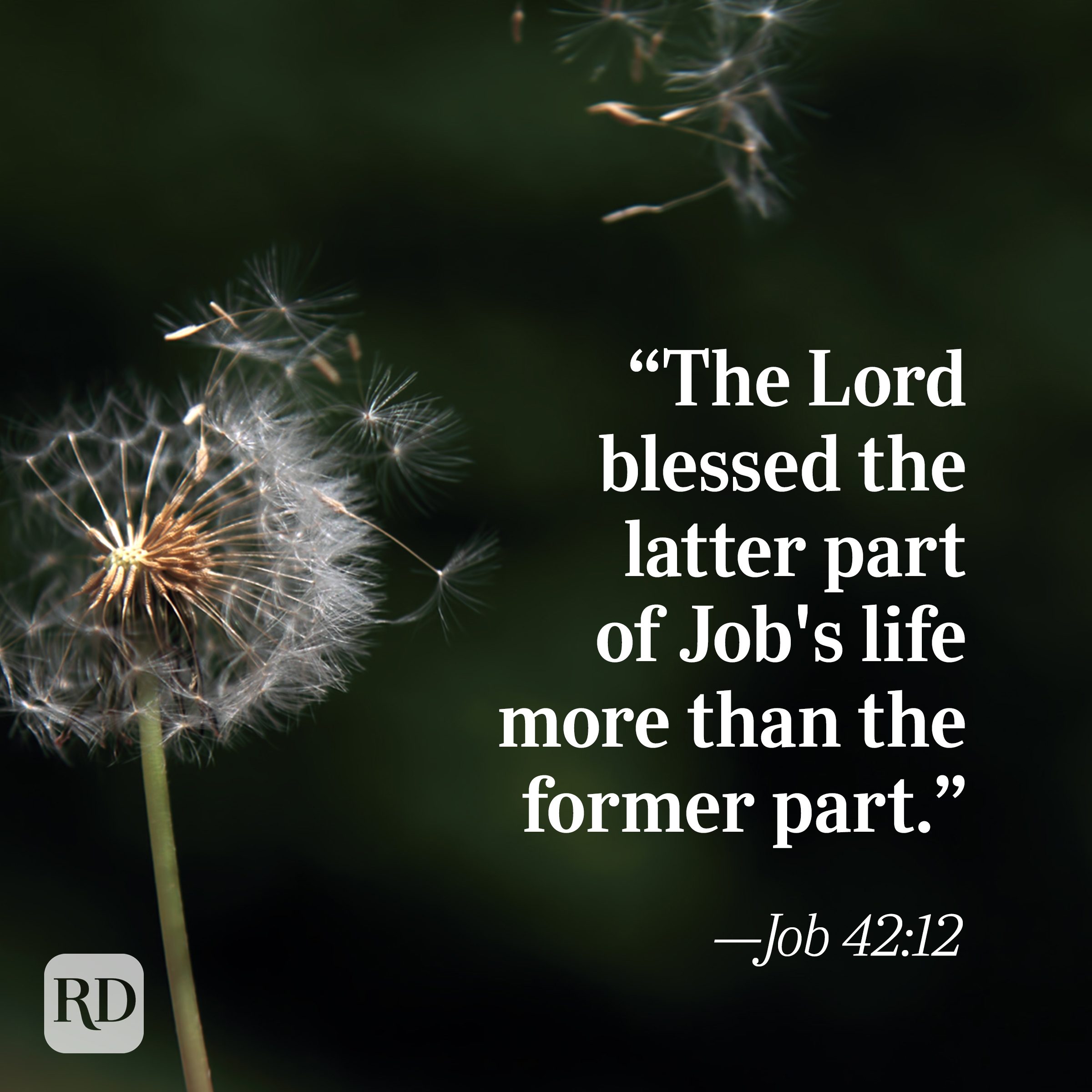 Bible Quote: Job 42:12