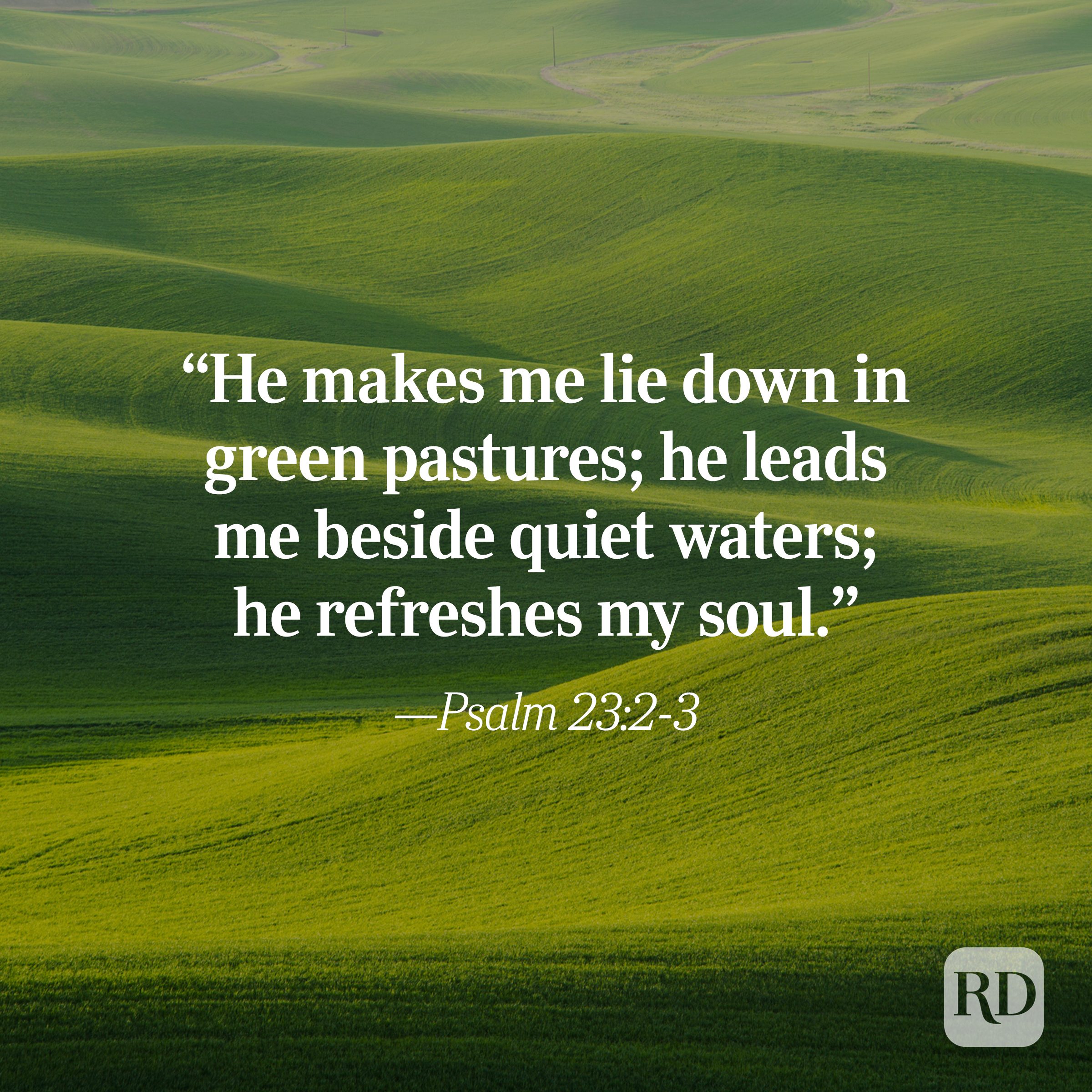 Bible Quote: Psalm 23:2-3