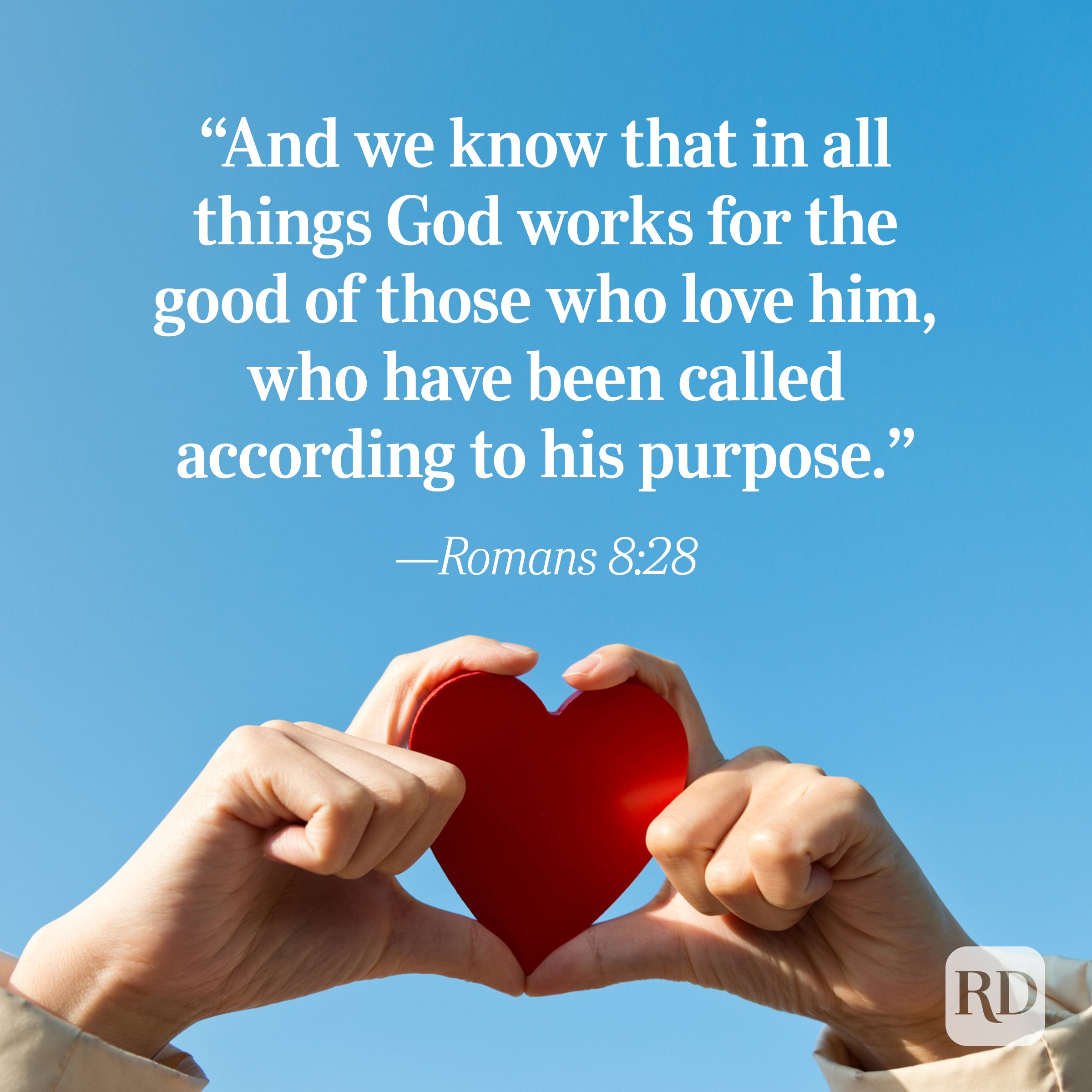 Bible Quote: Romans 8:28