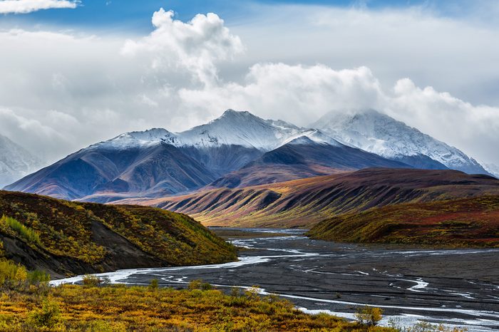 The braided channels of the Toklat river meanders through colorful Autumn foliage in Denali National Park, Alaska.