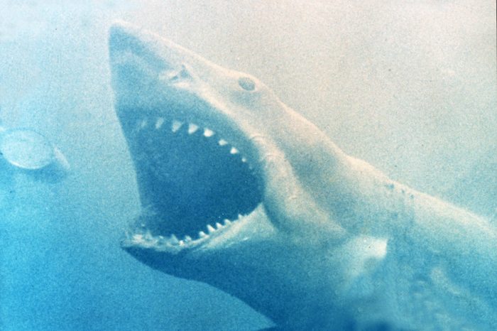 Jaws - 1975