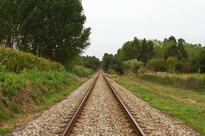 Empty Railway track trough woods on cloud day
