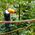 20 Unexplained Mysteries of the Amazon