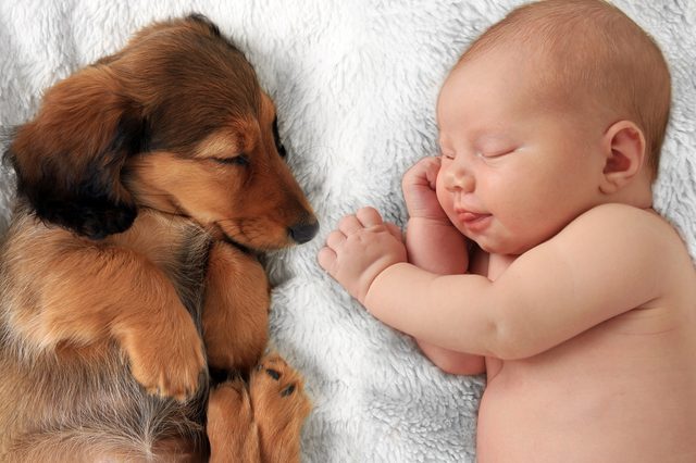 A puppy and a baby sleep peacefully together on a soft, fluffy white surface.