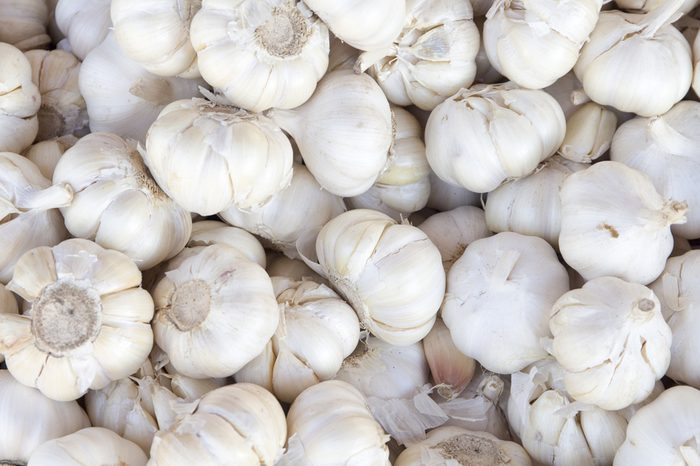 White garlic pile texture. Fresh garlic on market table closeup photo. Vitamin healthy food spice image. Spicy cooking ingredient picture. Pile of white garlic heads. White garlic head heap top view