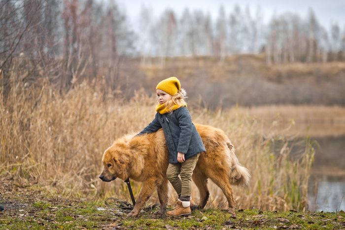 The walk of a child with a big dog on the lake.