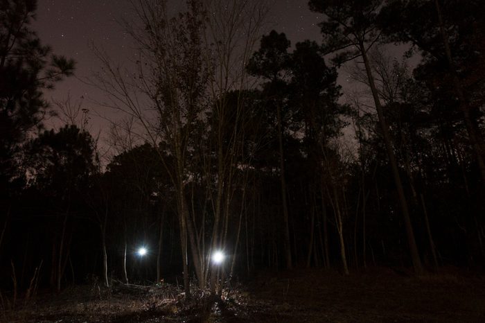Two lights in a dark North Carolina forest with stars above