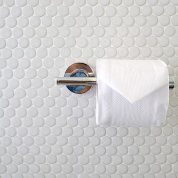 Toilet paper roll hangs neatly on a chrome holder, set against a white mosaic tile wall.