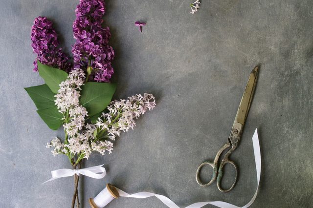 Bouquet of purple lilacs flowers on a gray background. Vintage floral background with spring flowers. Copy space